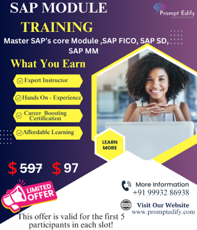 sap-training-in-beginner-at-97-big-0