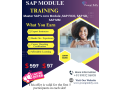 sap-training-in-beginner-in-97-small-0