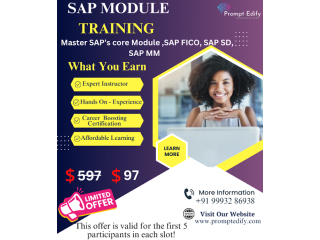 SAP Training In Beginner In $97