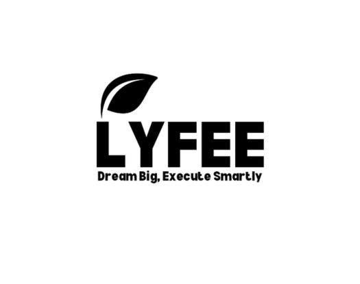 unlock-online-potential-with-lyfee-digital-marketing-expert-big-0