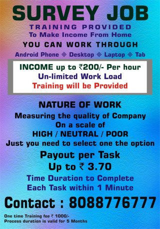 survey-job-make-income-daily-rs-300-home-based-jobs-data-entry-jobs-1652-big-0