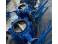 lug-butterfly-valve-manufacturer-in-india-small-0