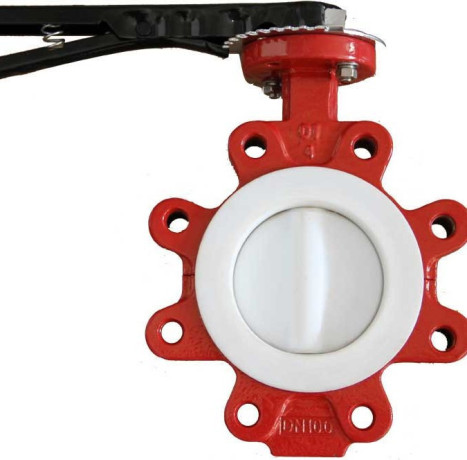 lug-butterfly-valve-manufacturer-in-india-big-1