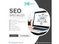 search-engine-optimization-companies-near-me-aanha-services-small-0