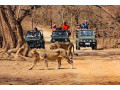 luxury-golden-triangle-tour-package-india-small-1