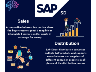 SAP Corporate Training in Abuja at Prompt Edify