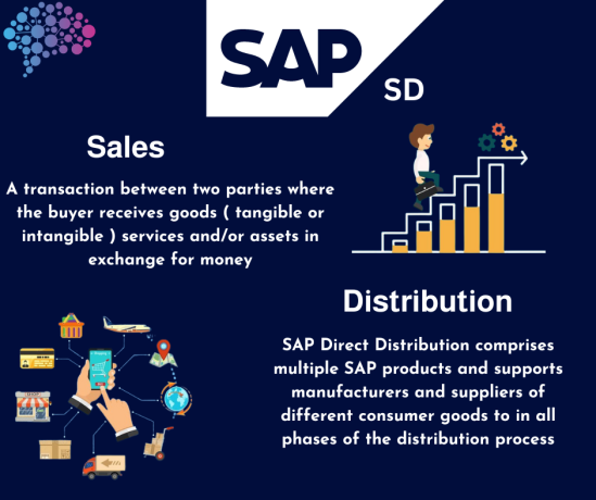 sap-corporate-training-in-abuja-at-prompt-edify-big-0