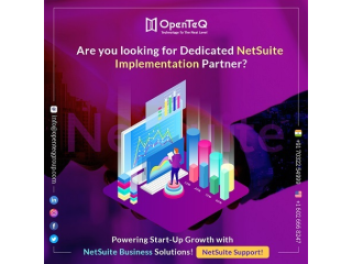 OpenTeQ is a Comprehensive NetSuite Consultation and Customized Customer Support