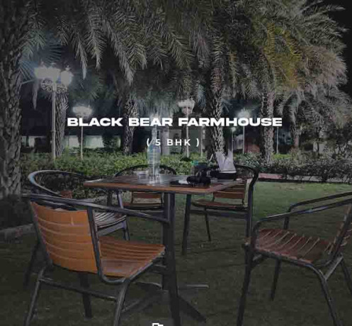 black-bear-farm-house-farm-stay-in-jaipur-best-farm-stay-in-jaipur-big-1