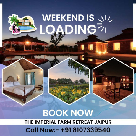 black-bear-farm-house-farm-stay-in-jaipur-best-farm-stay-in-jaipur-big-2