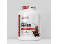 strategic-weight-gain-the-power-of-mass-gainer-supplements-small-0