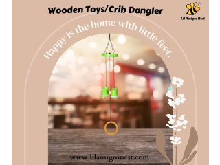 Buy wooden toys Online in India at Lil Amigos Nest