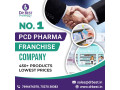 best-pcd-pharma-franchise-in-india-small-0