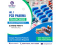 best-pcd-pharma-franchise-in-india-small-0