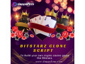 exploring-the-ultimate-guide-to-bitstarz-clone-script-development-small-0