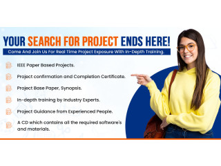 PhD Thesis, PhD Research Assistance, Journal Paper, MBA Project Report