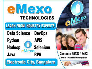 Best Software Training Institute in Electronic City Bangalore