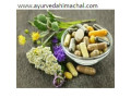 arogyam-pure-herbs-kit-for-cancer-small-0