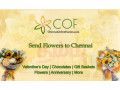 send-flowers-to-chennai-online-delivery-at-your-fingertips-small-0