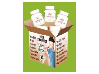 AROGYAM PURE HERBS WEIGHT LOSS KIT