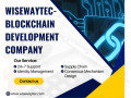 wisewaytec-blockchain-development-company-small-0