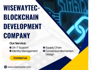 Wisewaytec- Blockchain Development Company