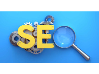 Affordable ecommerce SEO packages in Delhi
