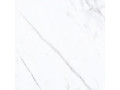 beyond-trends-the-enduring-allure-of-white-marble-small-0