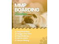 book-secured-and-verified-dog-boarding-services-in-pune-mr-n-mrs-pet-small-0