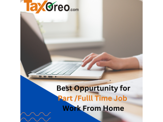 Best Accounting & Taxation Services in Nagpur - Tax Oreo for Your Financial Needs