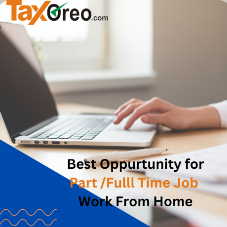 best-accounting-taxation-services-in-nagpur-tax-oreo-for-your-financial-needs-big-0