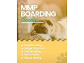 book-secured-and-verified-dog-sitter-in-bangalore-mr-n-mrs-pet-small-0