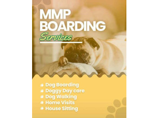 Book Secured and Verified Dog Sitter in Bangalore | Mr n Mrs Pet
