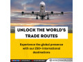 streamline-your-shipping-with-the-expert-air-freight-forwarder-small-0