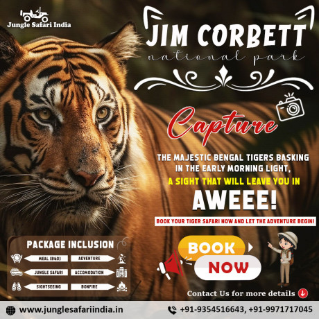 book-your-jim-corbett-jeep-safari-at-affordable-price-big-0