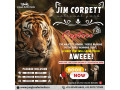 book-corbett-fun-tour-with-2-jeep-safari-limited-offer-small-0