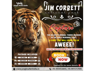 Book Corbett Fun Tour With 2 Jeep Safari | Limited Offer