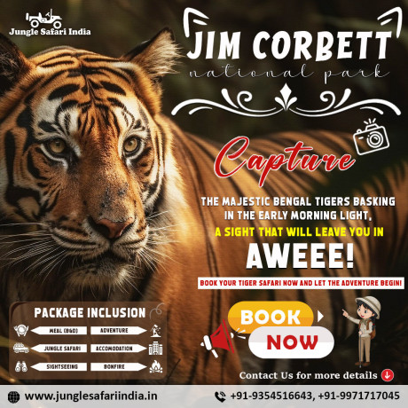 book-corbett-fun-tour-with-2-jeep-safari-limited-offer-big-0