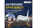 optimize-your-shipping-with-expert-air-freight-forwarder-small-0