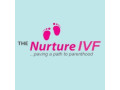 best-ivf-specialist-doctor-in-delhi-india-small-0