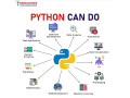 python-course-in-patiala-small-0