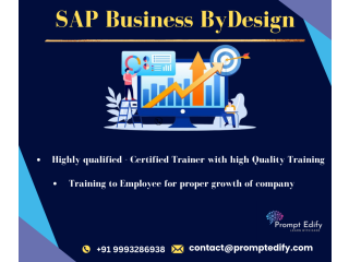 SAP Business One Training & Certification in Nigeria at Prompt Edify