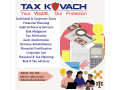 individual-corporates-accounting-services-small-0