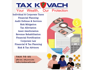 Individual & Corporates Accounting Services
