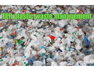 Decentralized waste management, Decentralized waste management, Decentralized waste management system