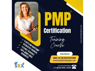 Level Up Your Career: The Ultimate Guide to PMP Virtual Training Success