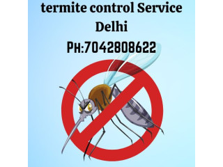 Best termite control in Delhi-Papa Mango