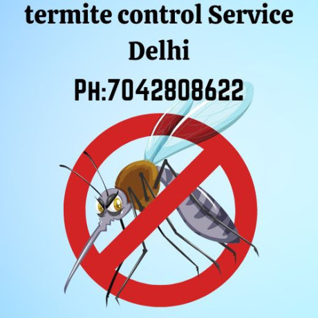 best-termite-control-in-delhi-papa-mango-big-0