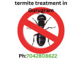 termite-treatment-in-gurgaon-cost-and-price-small-0