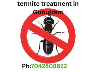 Termite treatment in gurgaon Cost and Price